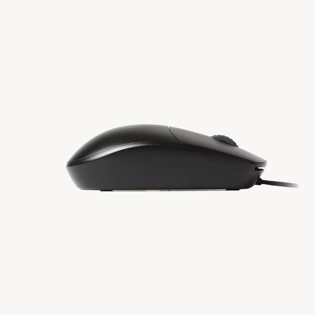 Rapoo N100 Wired optical Mouse